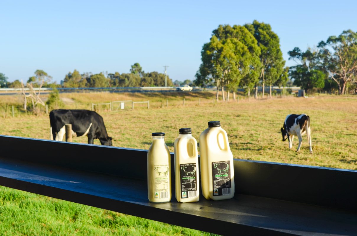Cheese platter, authentic farm produce, gippsland cheeses, specialty cheeses. Cheese platter, marketing, photography, social media management, Gippsland cheese, local farms, support local, omgthatsmarketing, product photos